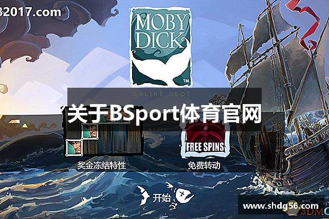 关于BSport体育官网
